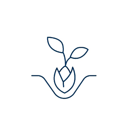 Processo di cambiamento